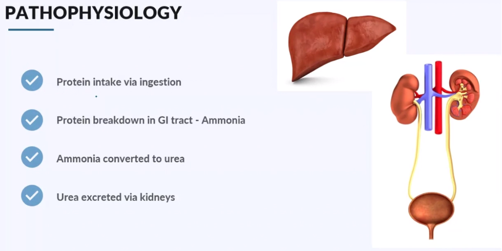 Complete guide to blood urea nitrogen bun lab values nursing lab values